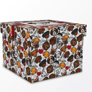 💙💙🩵🩵MYSTERY Female Doggie BOX🩵🩵💙💙🩵🩵🩵🩵🩵💙💙